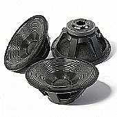 21SW115 21-Inch Ferrite Speaker